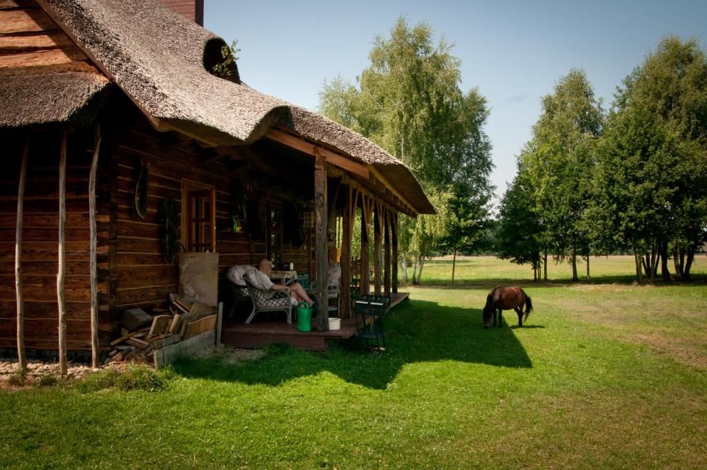 Фермерские дома Przytulisko pod Strzechą Mędrzechów-63